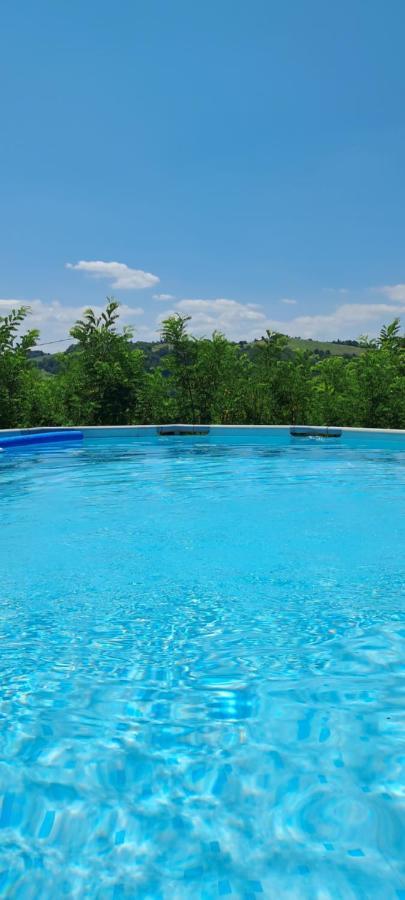 Terrazzaponente Bed & Breakfast Monte San Pietro Exterior photo